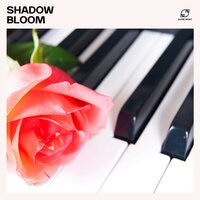 Piano and Strings - Piano Music Zone & Piano Chillout & Piano  Keys & Chillout Relax Piano