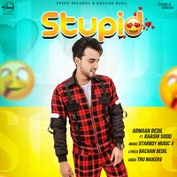 Stupid - Raashi Sood & Armaan Bedil
