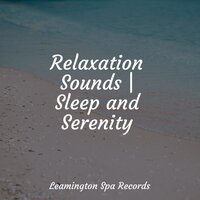 Ambient Textures - Music For Absolute Sleep & Soothing Nature Sounds & Lullaby Babies