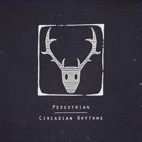 Deep In Daylight - Pedestrian