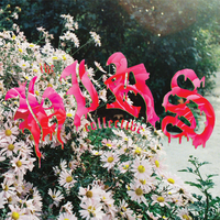 Invisible - The Hirs Collective & Shirley Manson