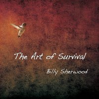 Drone Deciphers - Billy Sherwood