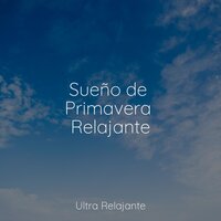 Despertares De Primavera - Meditacion Budista Maestros & Meditar Profundamente & Meditacionessa