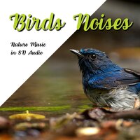 Spa Music Therapy for Relaxation - NA Namaste