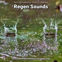 Regen Sounds, pt. 34 - Regen zur Entspannung Susanna Igel & Naturgeräusche & Regengeräusche