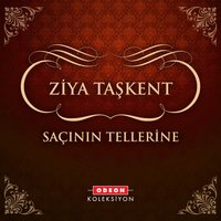 Gökyüzünde Yalnız Gezen Yıldızlar - Ziya Taşkent