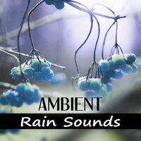 Rainy Morning - Water Music Oasis