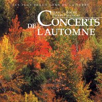 Un soir de novembre au village 4 - Jean C. Roché