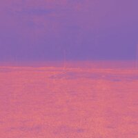 Isolation 2020 - Ali's Archive