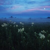 when the nights kicks in - HXSTXGE & ask eternity