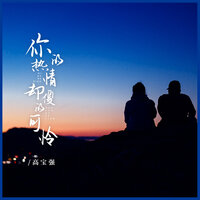 你的热情却傻的可怜 - 高宝强