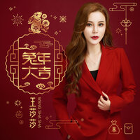 兔年大吉 - 王莎莎