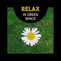 Quiet Music for Reflection - Harmony Nature Sounds Academy