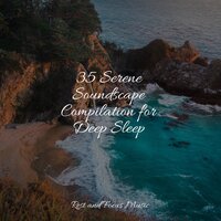 Sunset Breeze - Binaural Beats & Binaural Beats Brainwave Entrainment & mindfulness meditation world
