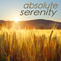 Ambience Songs - Marjorie Divine