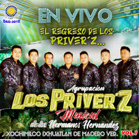 Flores De Mayo - Los Priver'z Musical De Los Hermanos Hernandez