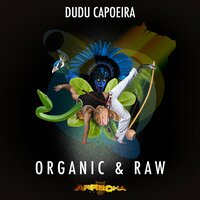 Visionary - Dudu Capoeira