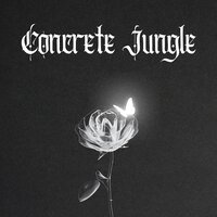 Street Rap Beats - Gangster Rap Beats