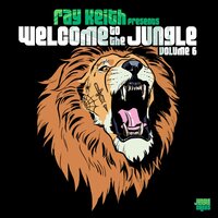 Something Out There - Ray Keith