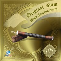 ลาวกระทบไม้ - Ocean Media