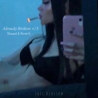 Already Broken - Slowed & Reverb - Joel Blossom