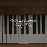 Fields of Heaven - Relaxing Classical Piano Music & Calming Baby Sleep Music Club & Piano Music for Work