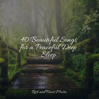 Soothing Wind - Deep Sleep Music Experience & Academia de Música para Massagem Relaxamento & White Noise Relaxation