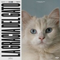 Elegant Neo-Georgian House - Música de gatos