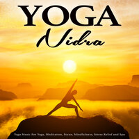 Meditation Station - Yoga & Yoga Music & Yoga Nidra