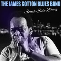 Feelin' Good - James Cotton