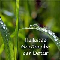 Musiktherapie: Hintergrundmusik - Meditationsmusik Sammlung