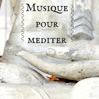 Musique pour mediter - Musique Japonaise Ensemble