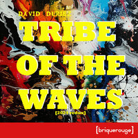 Tribe of the Waves - David Duriez & Jerzz