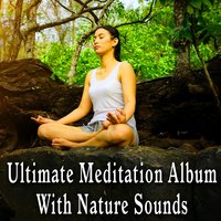Walled Retreat with Ambient Chill Melody and Mountain Stream - Meditation Spa Society