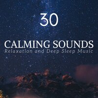 Let Me Sleep to Night - Lullabies Ensemble