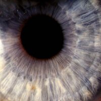 Eye of the heart - NDDGAMEE & bashexx