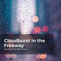 Rain in the Boulevard - Rain Sounds & White Noise & Raindrops Sleep & Sleep Rain