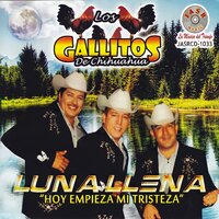 A Cada rato - Los Gallitos De Chihuahua