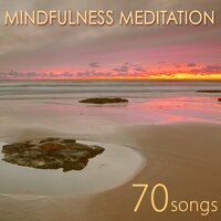 Focus - Naturescapes for Mindfulness Meditation