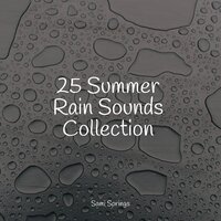 Cozy Campfire - Deep Sleep & Nature Sounds & Rain and Nature