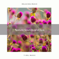 Get the Might of Peaceful Spa with Bird Music pt. 1 - Spa Music Hour