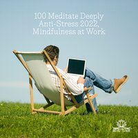 Soulful Sounds - Meditation Music Zone