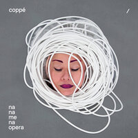 Did I Hear Your Voice…? - Coppe'