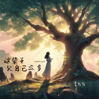 这辈子欠自己太多 - 李发发 & 光波