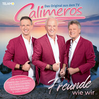 In den Süden mit dem Silverbird - Calimeros & Die Schlagerpiloten