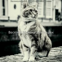 Атмосфера (Спящие кошки) - Веселая Музыка для кошек