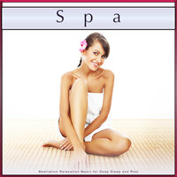 Tranquil Spa Music and Zen Garden Sounds - Spa Music Collective & Spa Music Bliss & Spa