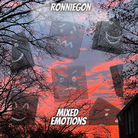 Fake Smile - RONNIEGON & dj tropical & Ripah