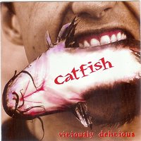 Twenty Something - Catfish