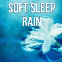 Bedtime (Piano Music) - Restful Sleep Music Collection